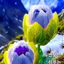 단대오거리역 이미지