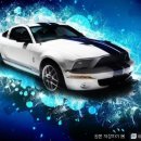 영일엘피지충전소 이미지