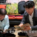 마이맘 이미지