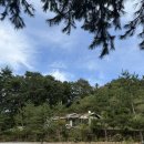 🏕️ 제천 덕동리301 캠핑장 | 노키즈 존 | F 사이트 1번 후기