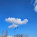 어른의 글쓰기 이미지