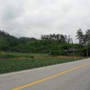 상방림교(상) 이미지