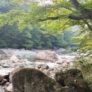 대원사계곡 이미지