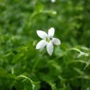 예쁘다,오늘 이미지