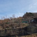 좌곤리 새마을회관 이미지