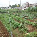 신길농장 이미지