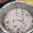 소담찬 티스토리