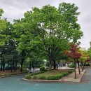 연꽃어린이공원 화장실 이미지