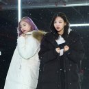 다운광고 Daum카페