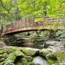 금오산힐링타운 이미지