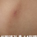 라스어린이치과의원 이미지