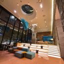 라이즈호텔 | 홍대 매리어트 라이즈 오토그라프호텔 반려동물 동반투숙 후기 (내돈내산)