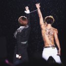 쫑의전쟁 이미지