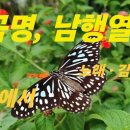 곡명 . 남행열차 가사 - 꼼양 노래 이미지