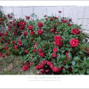 구포 지하철역 이미지