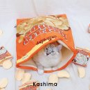가디즌