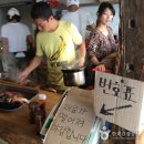 제주비체올린
