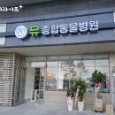 세종종합동물병원 이미지