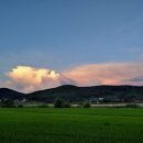 서산 독채 숙소 추천 | 저수지 풍경과 시골 감성 가득한 스테이미