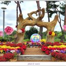 수향루 - 고성군 거탄진로 166 | 수향루