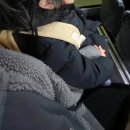 수림유치원 | 잘 가게 [12/1-12/15]