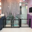 독살롱 다듬 이미지