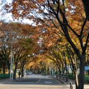 목동서로10길 이미지