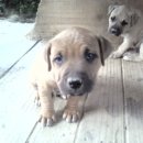 월향농장 이미지