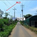 조천중학교 이미지