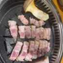 노란돼지