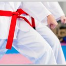 용인대박사백호태권도장 이미지