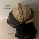 (합)우리렌터카 | [반려동물 동반 비행기 탑승] 제주항공 타고 제주도 가기! 애견동반 탑승수속 부터 수화물, 공항 펫파크...