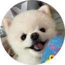 정각 | [망원/고기] 풍자 또간집 1등 고깃집! '정각 망원본점' 솔직후기 ✨ (feat. 오마카세? 코스요리!)