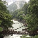 동화숲민박 이미지