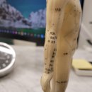 경희사암한의원 이미지