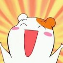 신항가보자대게