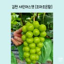 조은팜 이미지