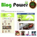 YK솔루션 패션비즈