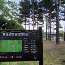 수원-0514 이미지