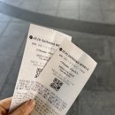 댄싱피그 | 제주도 실내여행지추천 신화월드 동물원 모모쥬 카피바라 방문후기