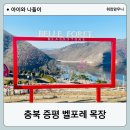충북 증평 벨포레리조트 목장 겨울방문 후기, 양떼, 금강앵무, 아이와 가볼만한 곳, 가족여행 추천