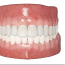 송파본치과의원 이미지