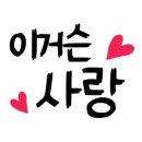 다산봄동물병원