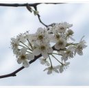 꿈속여행 이미지