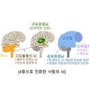 고집불통 이미지