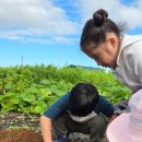 충호농장 이미지