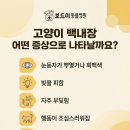 인동동물병원 이미지