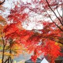 빛 96 - 11 이미지