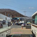 말보로맨 오토캠핑장 | 대구 근교 일출 명소 나정오토캠핑장 방문 후기