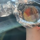 쉼표휴게김밥